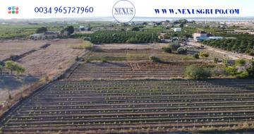 GRUPO NEXUS REAL ESTATE SELLS RUSTIC LAND