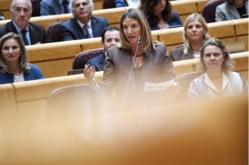 PP usiluje v Senátu o změnu trestního zákoníku, aby legalizovala odpojování energií v okupovaných domech.