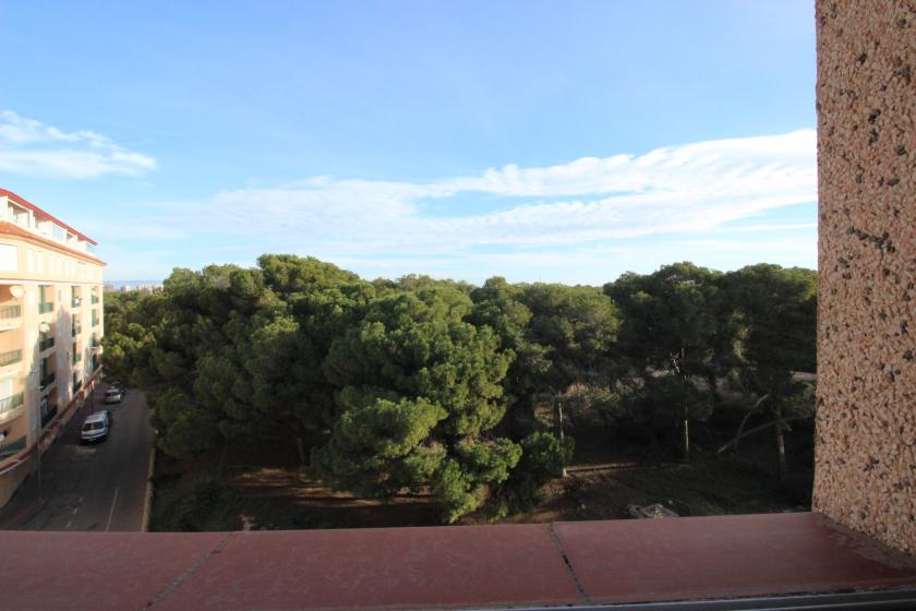 Grupo Nexus Real Estate is selling an apartment on Arenas  Street in Guardamar del Segura.  in Nexus Grupo