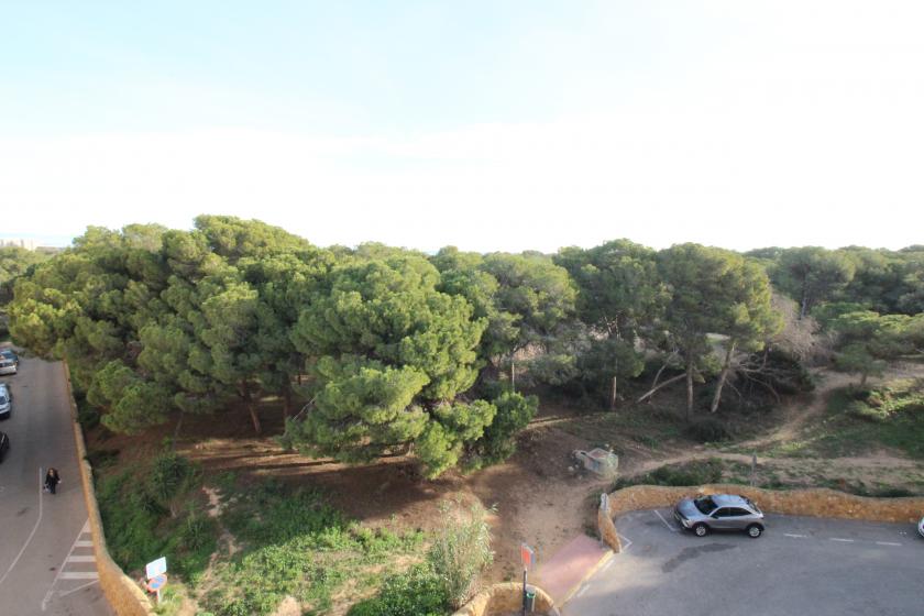 Grupo Nexus Real Estate is selling an apartment on Arenas  Street in Guardamar del Segura.  in Nexus Grupo