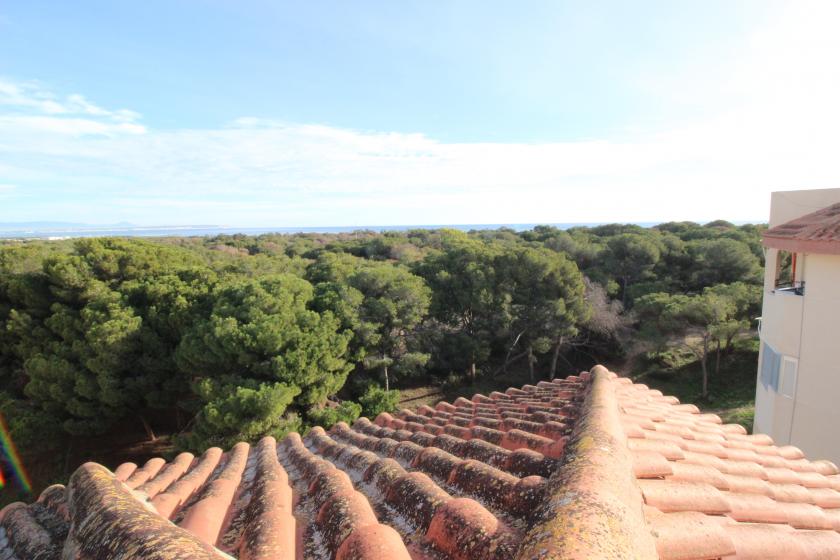 Grupo Nexus Real Estate is selling an apartment on Arenas  Street in Guardamar del Segura.  in Nexus Grupo