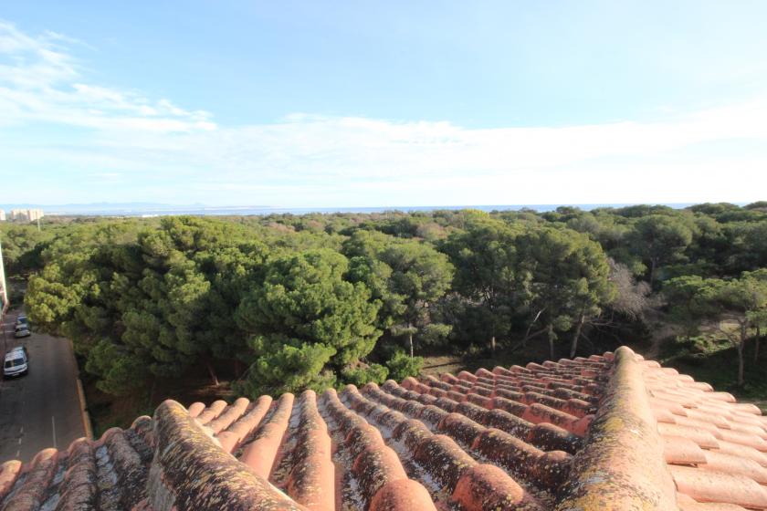 Grupo Nexus Real Estate is selling an apartment on Arenas  Street in Guardamar del Segura.  in Nexus Grupo