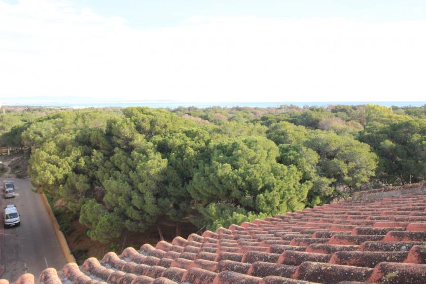 Grupo Nexus Real Estate is selling an apartment on Arenas  Street in Guardamar del Segura.  in Nexus Grupo