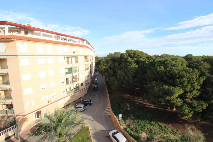 Grupo Nexus Real Estate is selling an apartment on Arenas  Street in Guardamar del Segura.  in Nexus Grupo