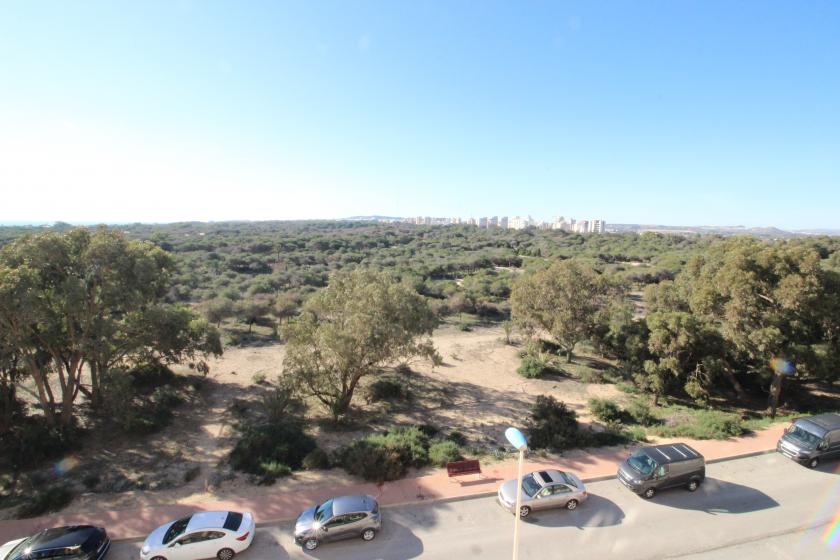 Inmobiliaria Grupo Nexus alquila piso para todo el año en calle  Médico Basilio Paredes Gomez  in Nexus Grupo