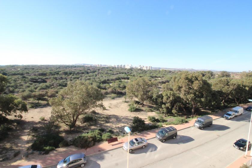 Inmobiliaria Grupo Nexus alquila piso para todo el año en calle  Médico Basilio Paredes Gomez  in Nexus Grupo