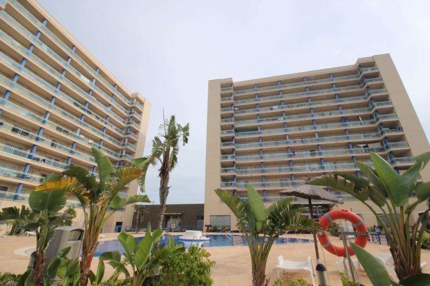 Inmobiliaria Grupo Nexus, Alquila piso para todo el año en Guardamar del Segura in Nexus Grupo