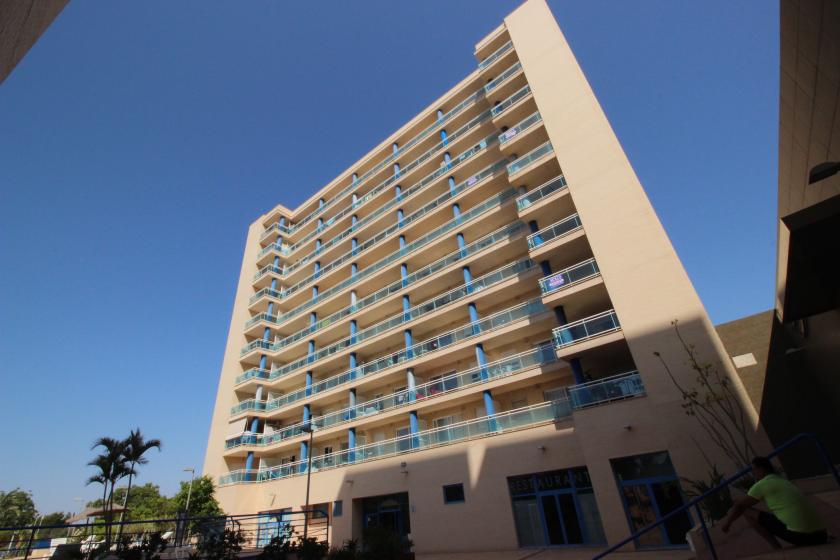 Inmobiliaria Grupo Nexus, Alquila piso para todo el año en Guardamar del Segura in Nexus Grupo