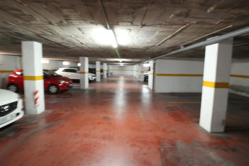 Grupo Nexus Vastgoed verhuurt een appartement voor 11 maanden. in Nexus Grupo