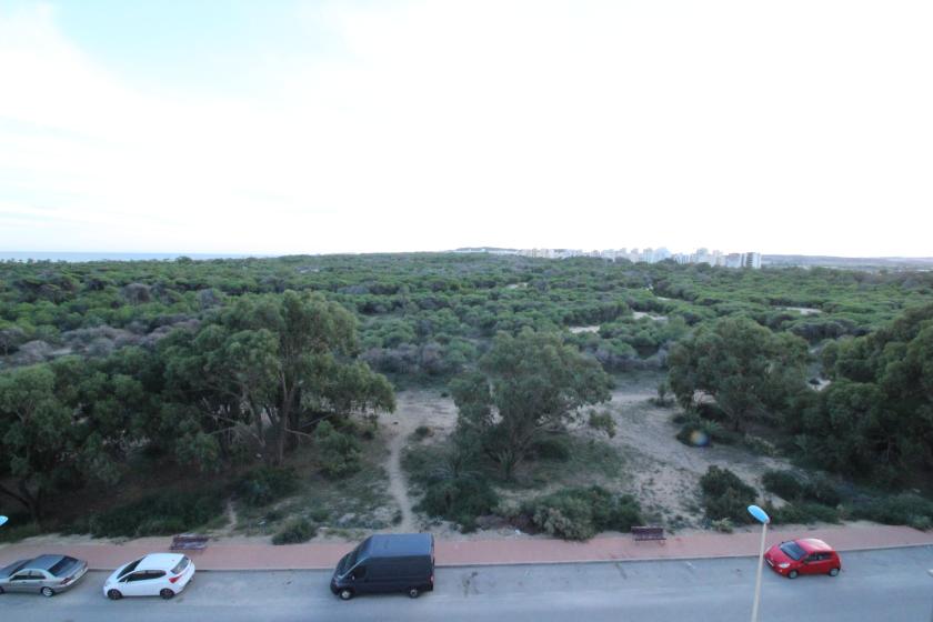 Realitní skupina Nexus nabízí k prodeji nádherný byt v rezidenční čtvrti Puerto Marino. in Nexus Grupo