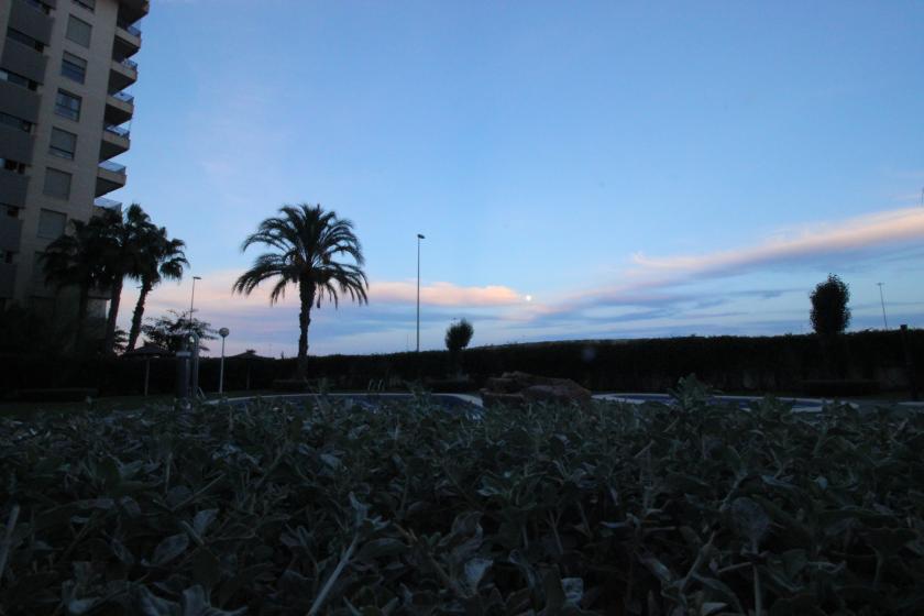 Realitní skupina Nexus nabízí k prodeji nádherný byt v rezidenční čtvrti Puerto Marino. in Nexus Grupo