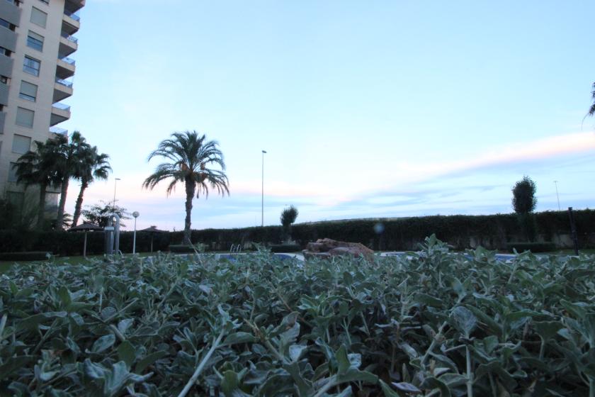 Realitní skupina Nexus nabízí k prodeji nádherný byt v rezidenční čtvrti Puerto Marino. in Nexus Grupo