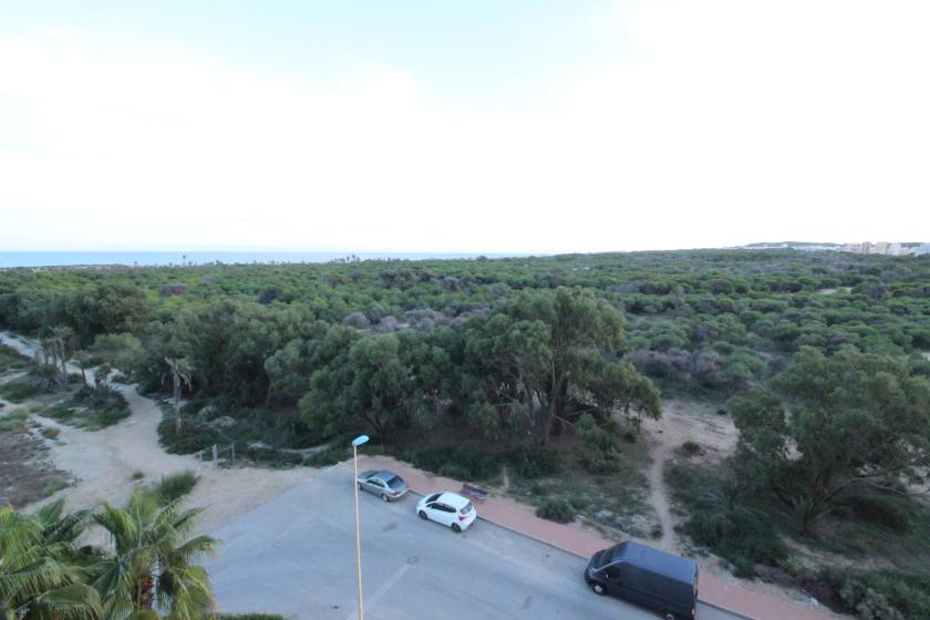 Realitní skupina Nexus nabízí k prodeji nádherný byt v rezidenční čtvrti Puerto Marino. in Nexus Grupo