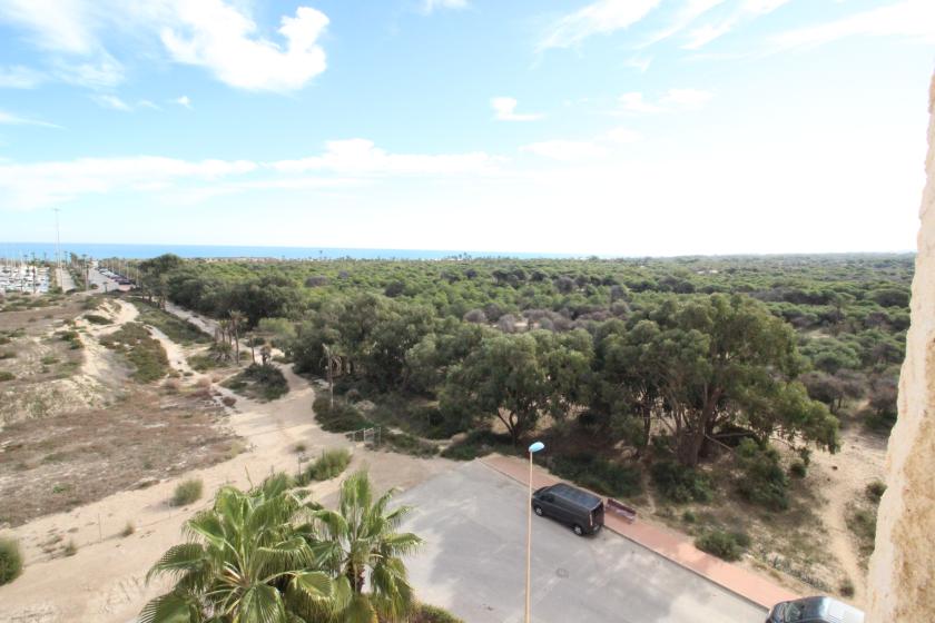 Real Estate Agency, Grupo Nexus, rents an apartment in the Puerto Marino residential complex.” in Nexus Grupo