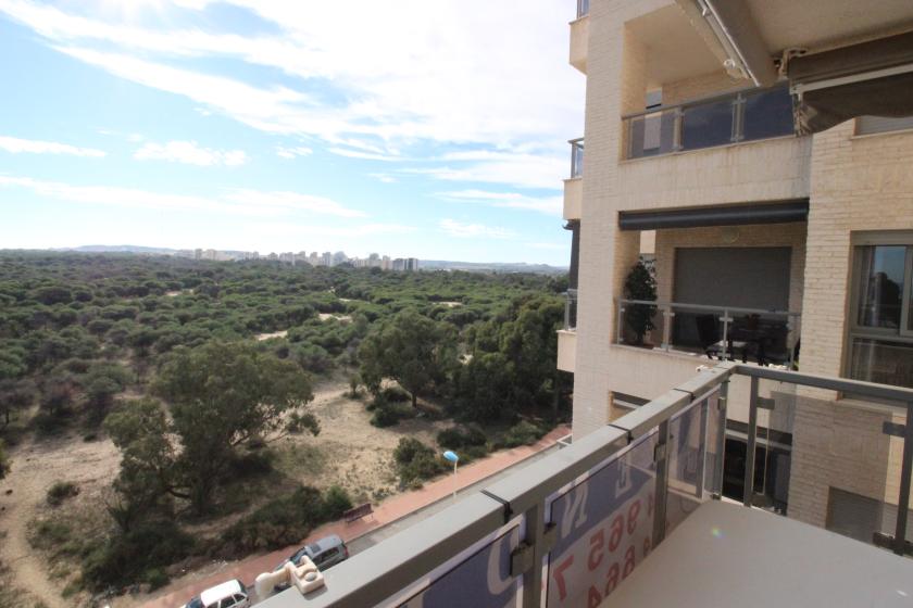 Real Estate Agency, Grupo Nexus, rents an apartment in the Puerto Marino residential complex.” in Nexus Grupo