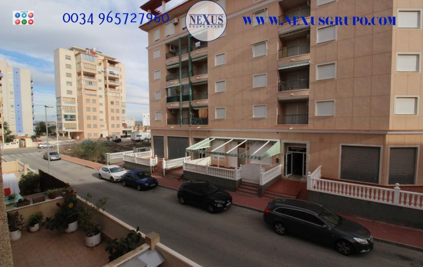 REAL ESTATE GROUP NEXUS RENTAL APARTMENT FOR ALL THE YEAR in Nexus Grupo