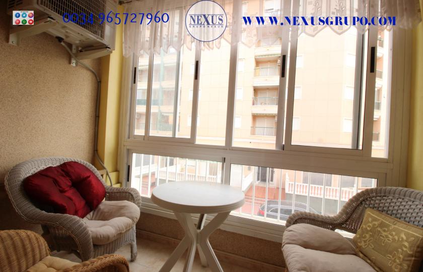 REAL ESTATE GROUP NEXUS RENTAL APARTMENT FOR ALL THE YEAR in Nexus Grupo