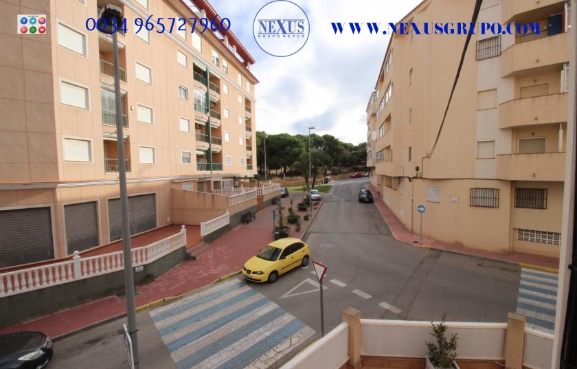 REAL ESTATE GROUP NEXUS RENTAL APARTMENT FOR ALL THE YEAR in Nexus Grupo