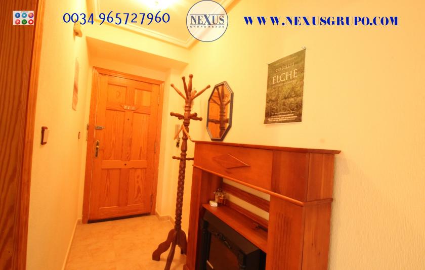 REAL ESTATE GROUP NEXUS RENTAL APARTMENT FOR ALL THE YEAR in Nexus Grupo