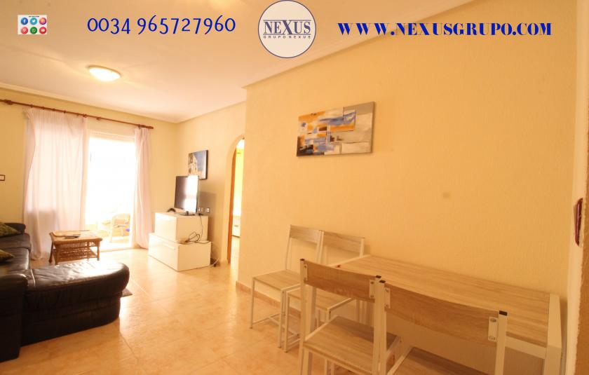 REAL ESTATE GROUP NEXUS RENTAL APARTMENT FOR ALL THE YEAR in Nexus Grupo