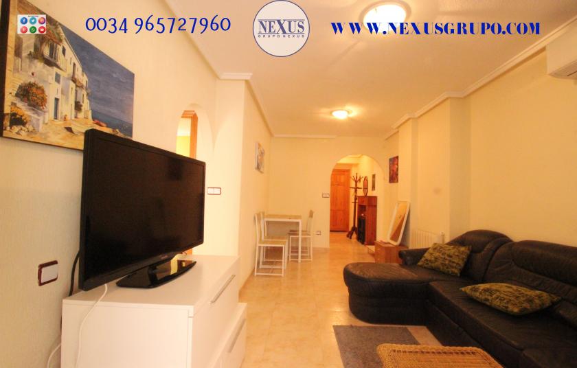 REAL ESTATE GROUP NEXUS RENTAL APARTMENT FOR ALL THE YEAR in Nexus Grupo