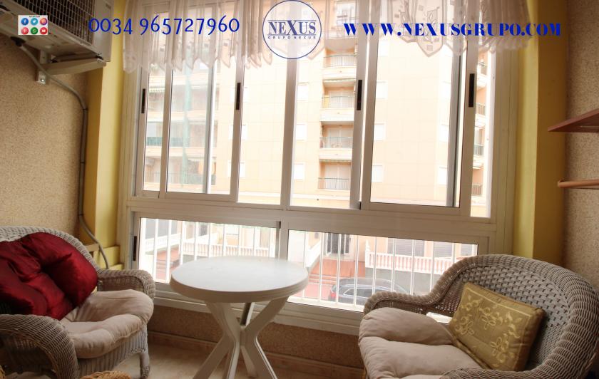 REAL ESTATE GROUP NEXUS RENTAL APARTMENT FOR ALL THE YEAR in Nexus Grupo