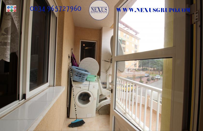 REAL ESTATE GROUP NEXUS RENTAL APARTMENT FOR ALL THE YEAR in Nexus Grupo