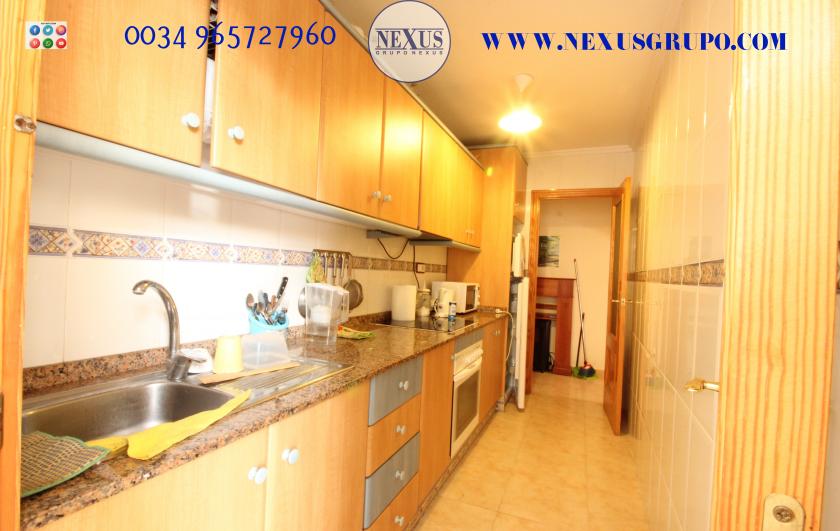 REAL ESTATE GROUP NEXUS RENTAL APARTMENT FOR ALL THE YEAR in Nexus Grupo