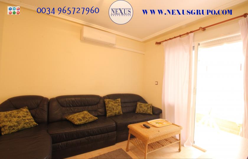 REAL ESTATE GROUP NEXUS RENTAL APARTMENT FOR ALL THE YEAR in Nexus Grupo