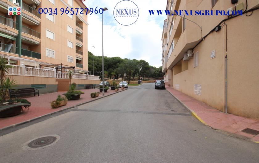 REAL ESTATE GROUP NEXUS RENTAL APARTMENT FOR ALL THE YEAR in Nexus Grupo