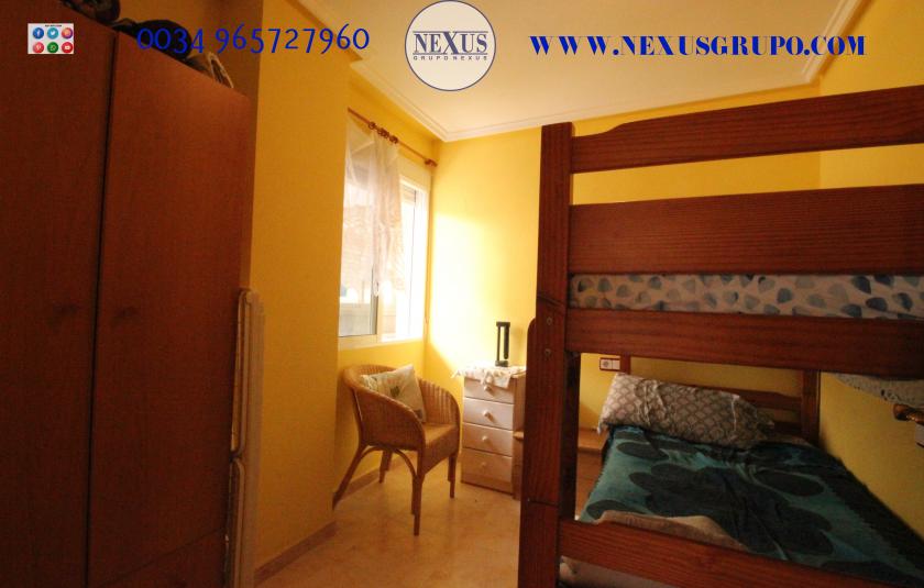 REAL ESTATE GROUP NEXUS RENTAL APARTMENT FOR ALL THE YEAR in Nexus Grupo