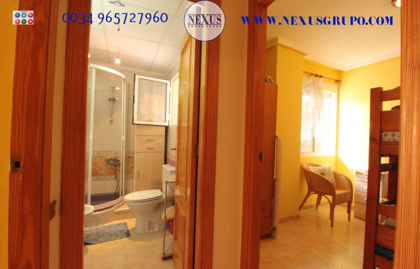 REAL ESTATE GROUP NEXUS RENTAL APARTMENT FOR ALL THE YEAR in Nexus Grupo