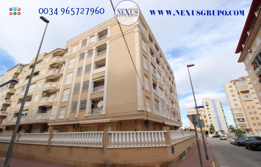REAL ESTATE GROUP NEXUS RENTAL APARTMENT FOR ALL THE YEAR in Nexus Grupo