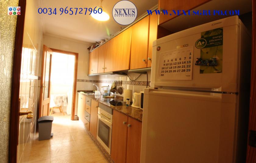 REAL ESTATE GROUP NEXUS RENTAL APARTMENT FOR ALL THE YEAR in Nexus Grupo