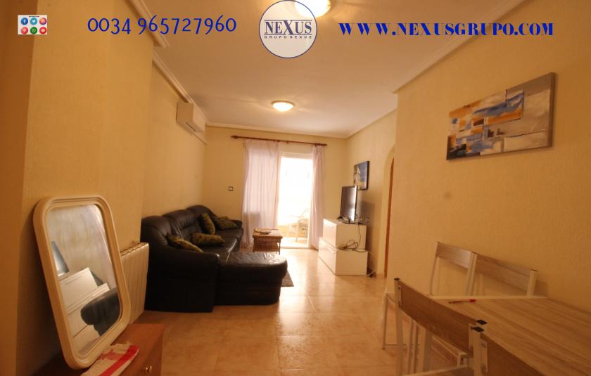 REAL ESTATE GROUP NEXUS RENTAL APARTMENT FOR ALL THE YEAR in Nexus Grupo