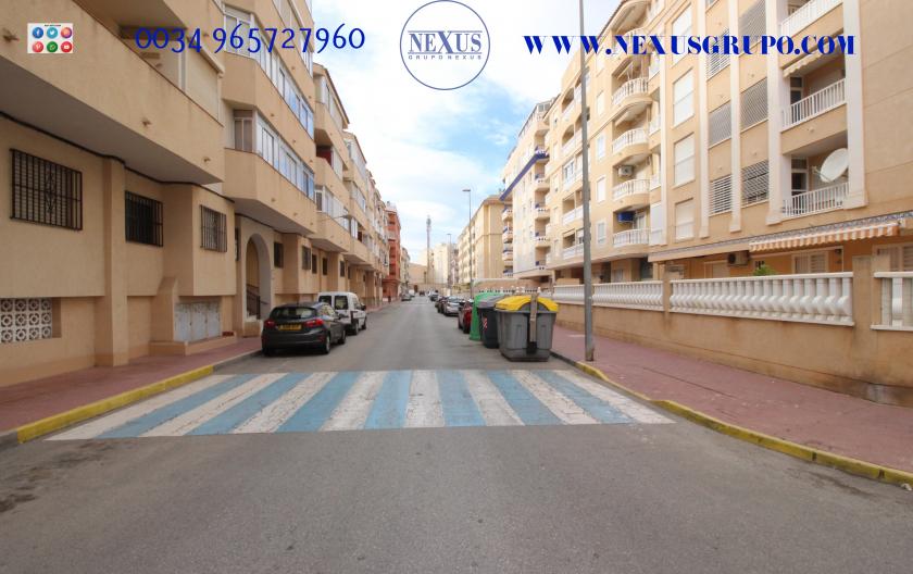 REAL ESTATE GROUP NEXUS RENTAL APARTMENT FOR ALL THE YEAR in Nexus Grupo