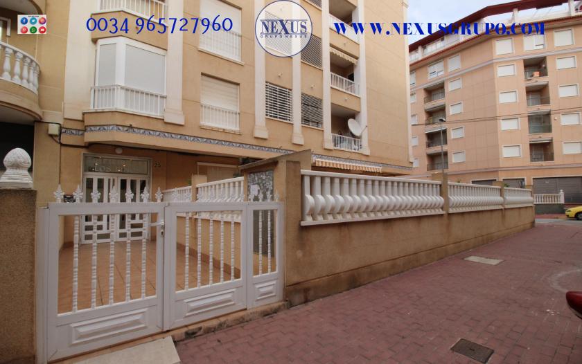 REAL ESTATE GROUP NEXUS RENTAL APARTMENT FOR ALL THE YEAR in Nexus Grupo