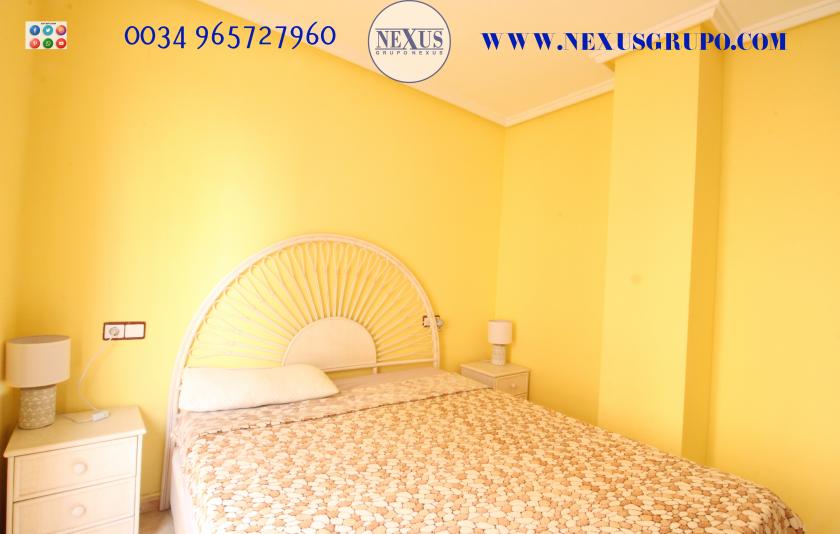 REAL ESTATE GROUP NEXUS RENTAL APARTMENT FOR ALL THE YEAR in Nexus Grupo