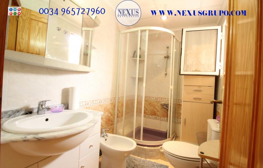 REAL ESTATE GROUP NEXUS RENTAL APARTMENT FOR ALL THE YEAR in Nexus Grupo