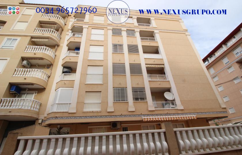 REAL ESTATE GROUP NEXUS RENTAL APARTMENT FOR ALL THE YEAR in Nexus Grupo
