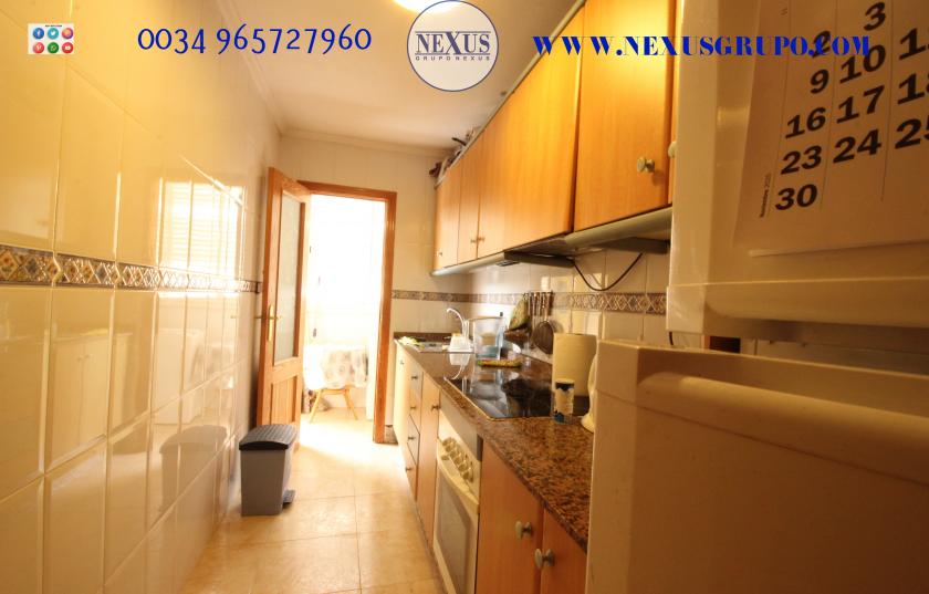 REAL ESTATE GROUP NEXUS RENTAL APARTMENT FOR ALL THE YEAR in Nexus Grupo