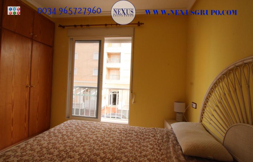 REAL ESTATE GROUP NEXUS RENTAL APARTMENT FOR ALL THE YEAR in Nexus Grupo