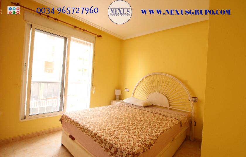 REAL ESTATE GROUP NEXUS RENTAL APARTMENT FOR ALL THE YEAR in Nexus Grupo