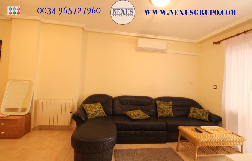 REAL ESTATE GROUP NEXUS RENTAL APARTMENT FOR ALL THE YEAR in Nexus Grupo