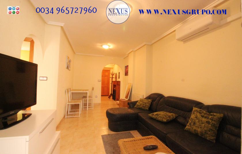 REAL ESTATE GROUP NEXUS RENTAL APARTMENT FOR ALL THE YEAR in Nexus Grupo