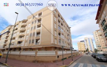 REAL ESTATE GROUP NEXUS RENTAL APARTMENT FOR ALL THE YEAR in Nexus Grupo