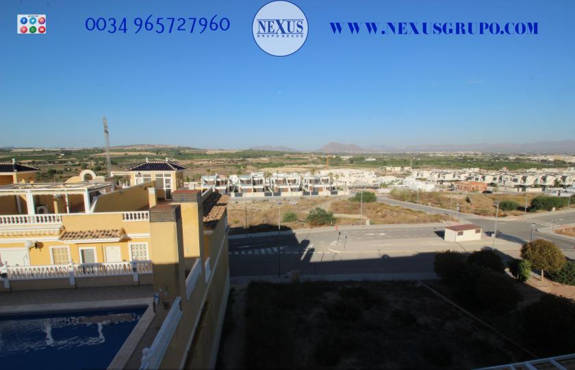 INMOBILIARIA GRUPO NEXUS ALQUILA ÁTICO DUPLEX EN BENIJOFAR in Nexus Grupo