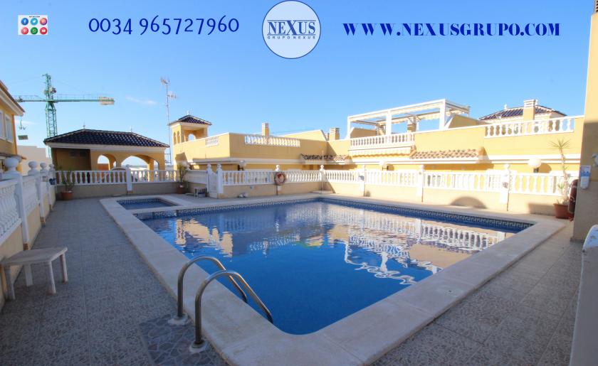 INMOBILIARIA GRUPO NEXUS RENT DUPLEX PENTHOUSE IN BENIJOFAR in Nexus Grupo