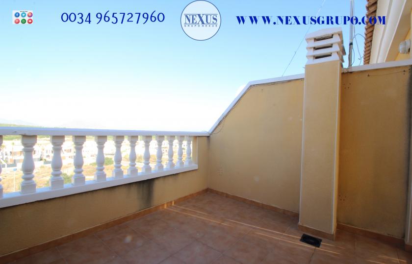 INMOBILIARIA GRUPO NEXUS RENT DUPLEX PENTHOUSE IN BENIJOFAR in Nexus Grupo