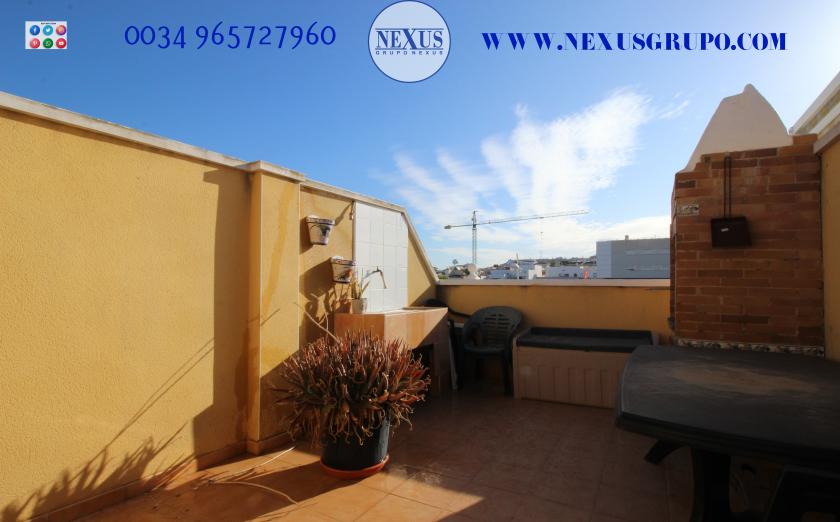 INMOBILIARIA GRUPO NEXUS RENT DUPLEX PENTHOUSE IN BENIJOFAR in Nexus Grupo